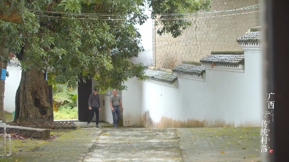 萝村的书香风气