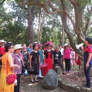 我馆组织离退休人员赴武鸣明秀园开展欢庆重阳活动