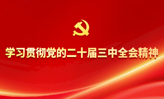 学习贯彻党的二十届三中全会精神